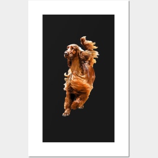 Irish Setter - Glamorous Dog! Posters and Art
